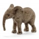 Elefante Africano Cucciolo - Schleich WILD LIFE 14763